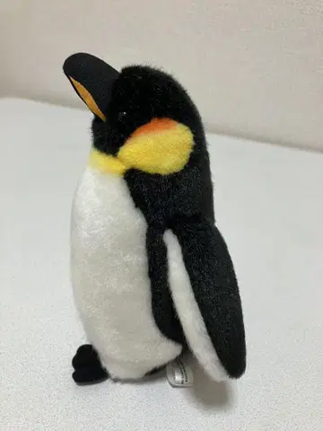 나고야항 수족관 황제펭귄 사육사 감수 봉제 인형 [20cm] 엠퍼러