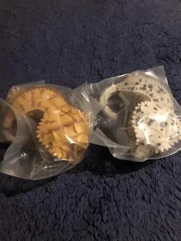 생물대도감 소프트 비닐 컬렉션 레오파와 크레스