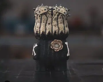 라본제소 copiapoa twin star 피규어 새상품, 미사용