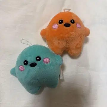 서큘러 독일 만박