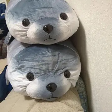 리얼 물개 BIG 봉제 인형
