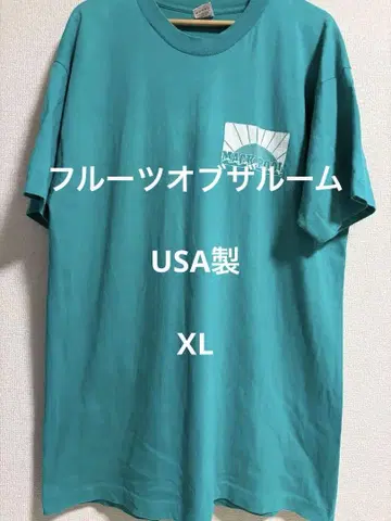 프룻 오브 더 룸 T셔츠 XL 그린 그린 USA 챔피온