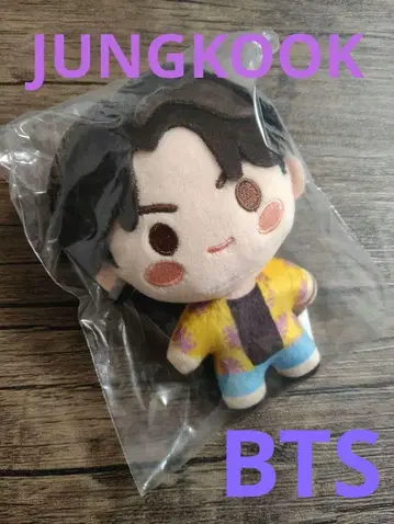 BTS 시마무라 Island 인더섬 마스코트 JUNGKOOK