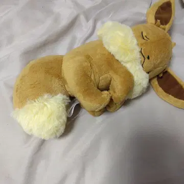 포켓몬 센터 공식 이브이