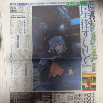 호시마치 스이세이 호치신문