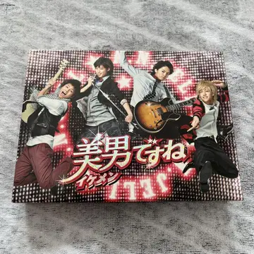미남이시네요 DVD BOX