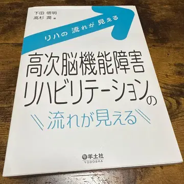 고차 뇌 기능 장애 재활 치료의 흐름을 볼 수 있다