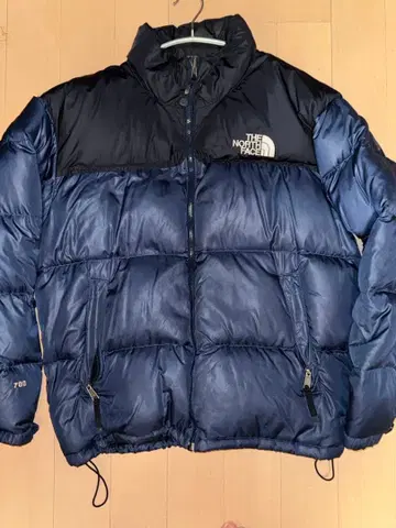 THE NORTH FACE 눕시 다운 자켓
