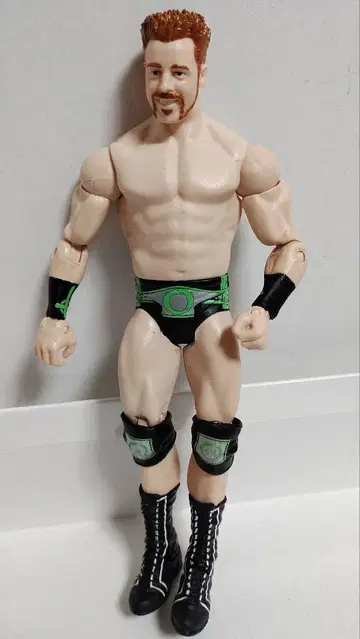 마텔사판 WWE 프로레슬링 피규어 셰이머스