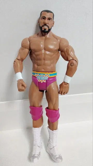 마텔사판 WWE 프로레슬링 피규어 진더 마할