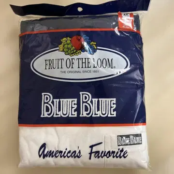 [ 미개봉 ] 블루블루 FRUIT OF THE LOOM 2장 세트 L