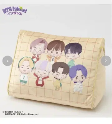 BTS 인더섬 삼각형 쿠션 새상품