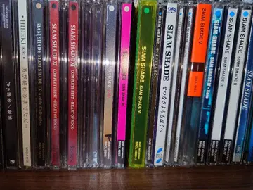 SHAMSHADE 세트 영희 DAITA NATCHIN KAZUKI CD