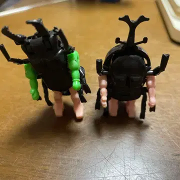 곤충 레슬러 롯데