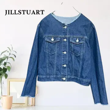 zS12 [ M ] JILLSTUART 셀비지 박스 실루엣 G