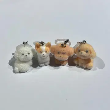 모코푸와 강아지 메지루시 액세서리