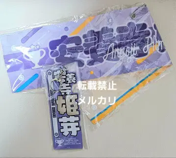 하스노소라 안요지 히메메 리버서블 팔뚝 가리개 아크릴 명찰 미라파