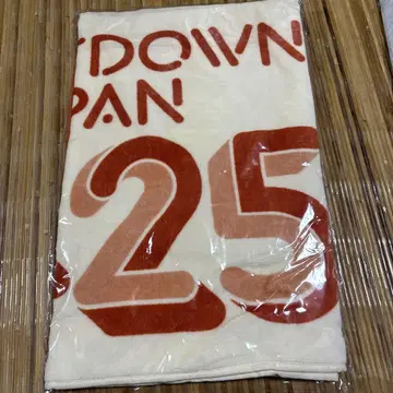 COUNTDOWN JAPAN 2425 타월