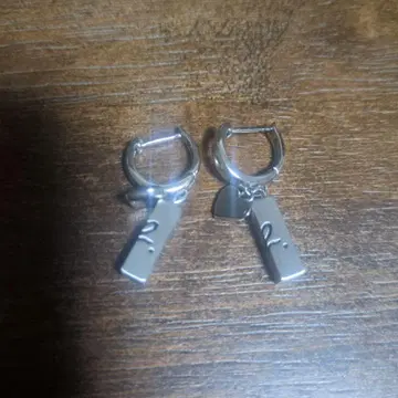 애니에스 베이 귀걸이