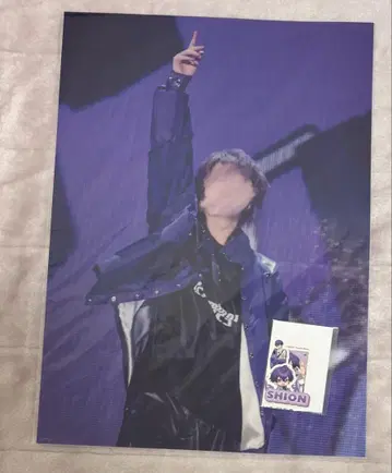 메테오라 시온 씨
