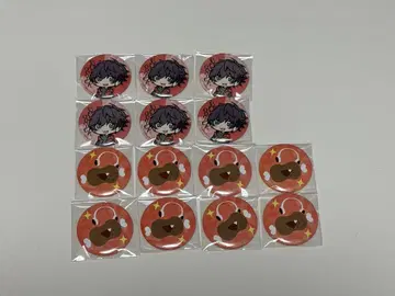 Broooock PUS 캔뱃지 14개