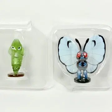 포켓몬 버터플라이 트랜셀 초기 몬코레 butterfree