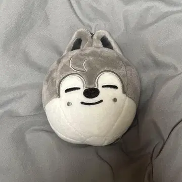 Straykids 스키즈 SKZOO 울프찬 열기구 백참