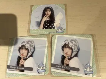 이기가리 도호쿠산 타치바나 카렌 코스터