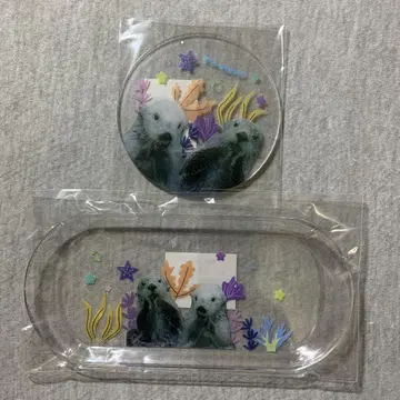도바 수족관 메이 키라 코스터 투명 멀티 트레이