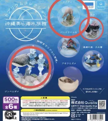 카프크리움 컬렉션 오키나와 츄라우미 수족관
