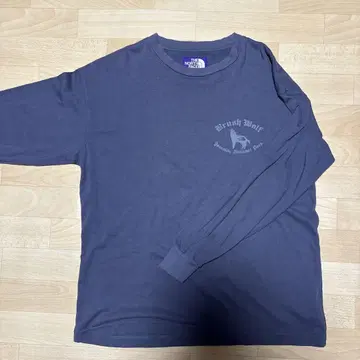 THE NORTH FACE PURPLE LABEL S 사이즈