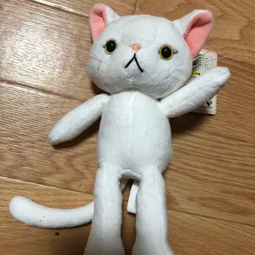 냐아콜레 화이트