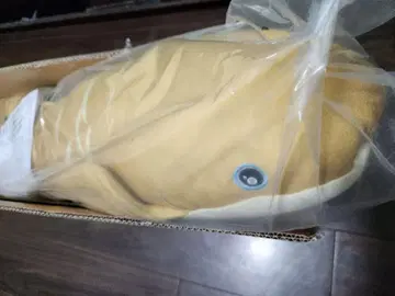 네오케라토두스 대형 봉제 인형 쿄린