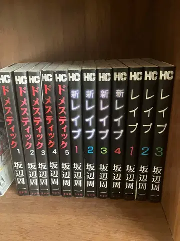 레이프 신 레이프 도메스틱 완결 사카베 슈이치 코믹스