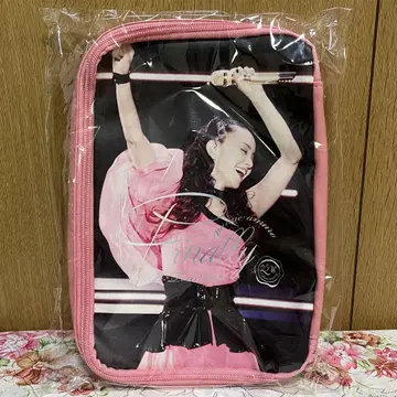 아무로 나미에 빅 파우치