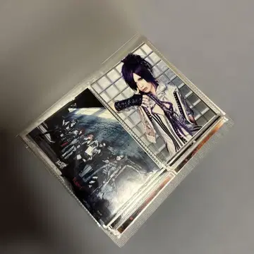 Royz  아티스트 사진 약 80장 묶음 판매