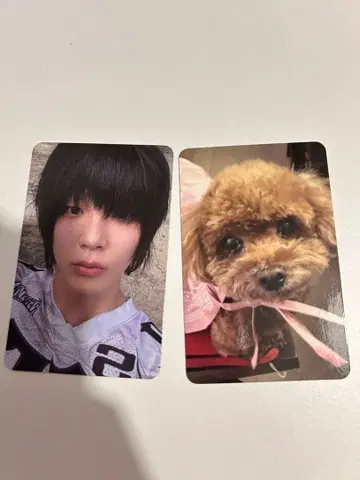 key hunter 꼼데 트레이딩 카드