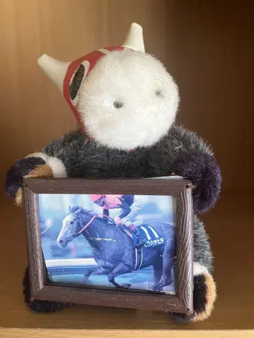 경마 말 봉제 인형 사진 프레임 포함 비와하야히데 천황상