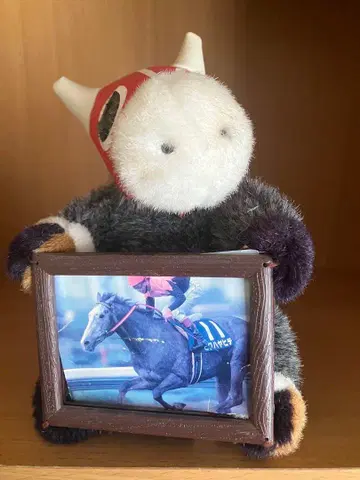 경마 말 봉제 인형 사진 프레임 포함 비와하야히데 천황상