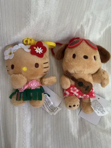 하와이 일광화상 키티 포차코 세트