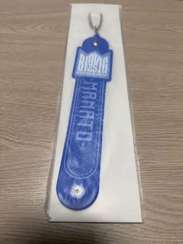 BMSGFES25 마나토