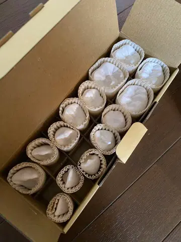 NISSIN DENTAL MODEL C4-304(L14S)