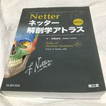 넷터 해부학 아틀라스