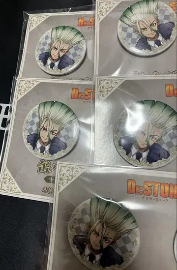 Dr.STONE 이시가미 센쿠 캔뱃지 훼미리마트 5개 세트