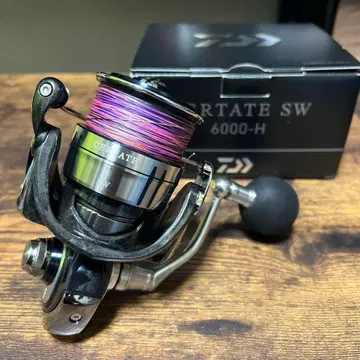 다이와 21 셀테이트 SW 6000H