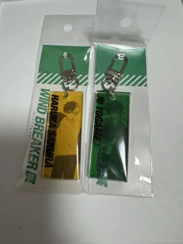 WINDBREAKER전 컬러 아크릴 키링 사쿠라 하루카 토가메 스기