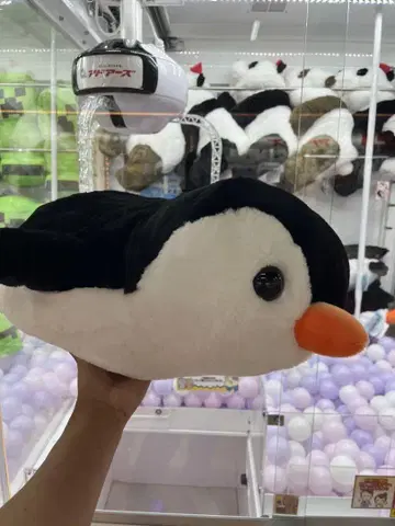 펭귄형 빅 봉제 인형