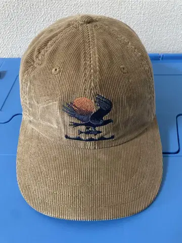 patagonia 21FW 코듀로이 캡