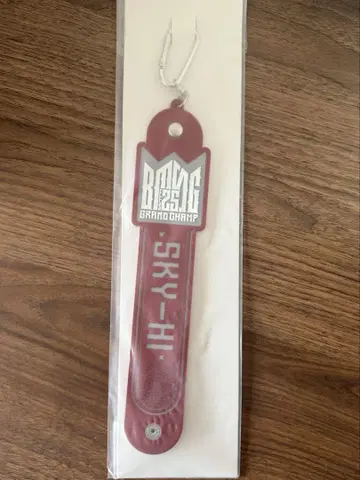 BMSG FES 25 온라인 복권 타월 홀더 스카이 하이