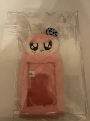 SEVENTEEN 봉봉이 트레이딩 카드 케이스